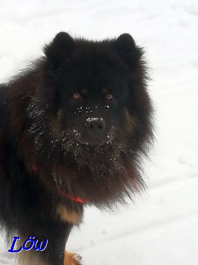 18.1.2021 - Schon wieder mehr Schnee